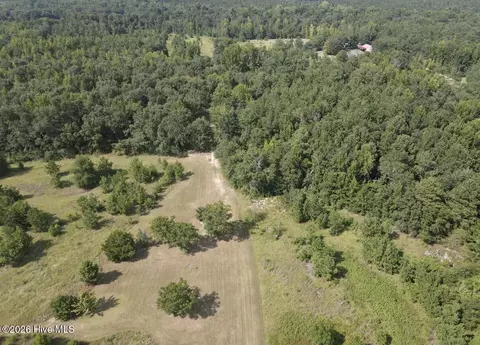 Other - 2171 Gene Howard Rd, Stapleton, GA 30823 photo 22 of 26