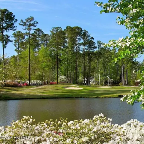 View/Area - 101 Pamlico Pl, Chocowinity, NC 27817 photo 5 of 7