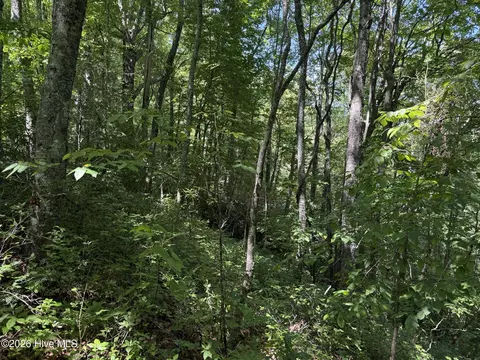 lot2 Amber Ln, Topton, NC 28781