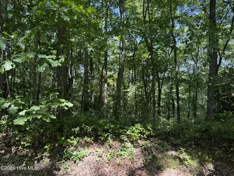lot3 Amber Ln, Topton, NC 28781