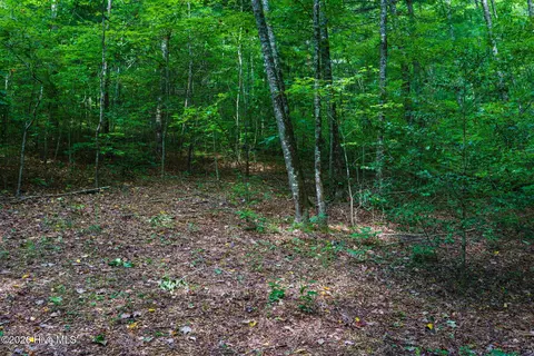 71 Craig Farm Rd, Murphy, NC 28906 photo 6