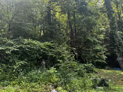 2710 Junaluska Rd, Andrews, NC 28901