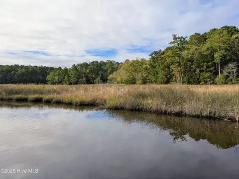238 Mill Creek Rd, Stella, NC 28582 photo 24