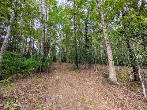 238 Mill Creek Rd, Stella, NC 28582 photo 22