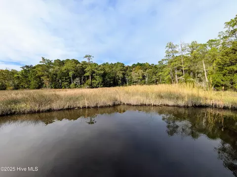 238 Mill Creek Rd, Stella, NC 28582 photo 17