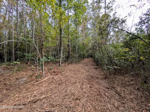 238 Mill Creek Rd, Stella, NC 28582 photo 20