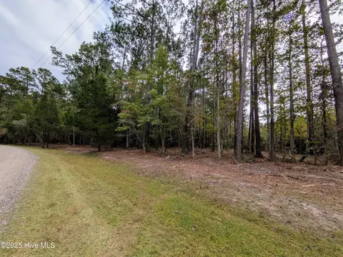 238 Mill Creek Rd, Stella, NC 28582 photo 18