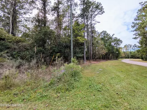 238 Mill Creek Rd, Stella, NC 28582 photo 23