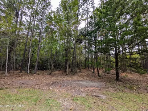 238 Mill Creek Rd, Stella, NC 28582 photo 19
