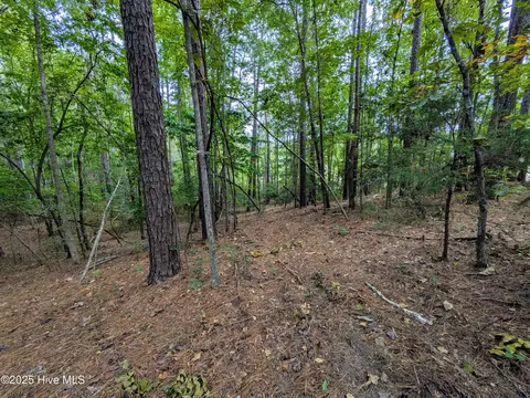 238 Mill Creek Rd, Stella, NC 28582 photo 21