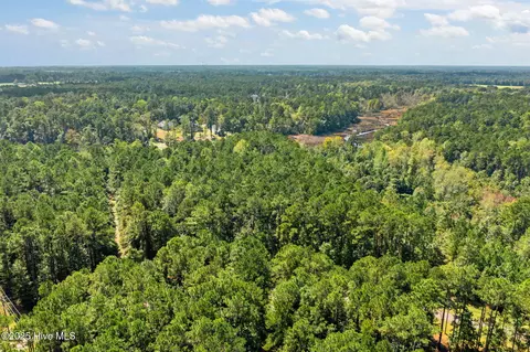 238 Mill Creek Rd, Stella, NC 28582 photo 9