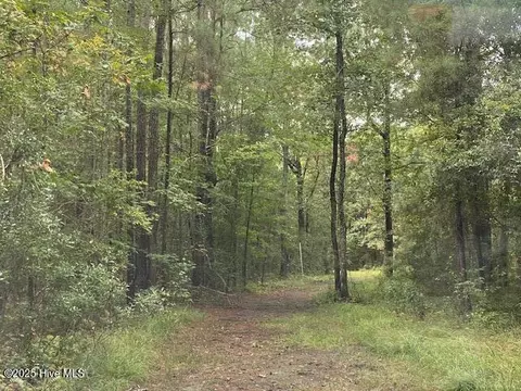 8 Pine Crest Rd, Bath, NC 27808 photo 8