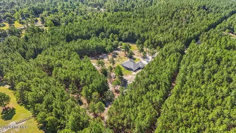 View/Area - 540 Prosperity Ln, Pinebluff, NC 28373 photo 1 of 2