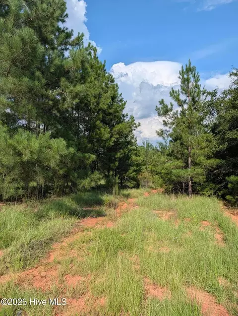 0 Nelson Ln, Louisville, GA 30434