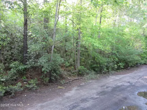1253 Crooked Pine Rd, Wilmington, NC 28411