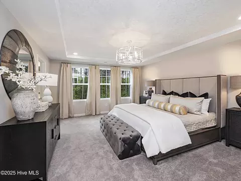 Bedroom - 5903 Mill Stone Way W, Sims, NC 27880 photo 5 of 5