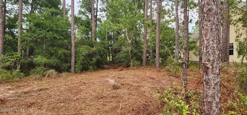 4 Pike Rd, Boiling Spring Lakes, NC 28461 photo 23