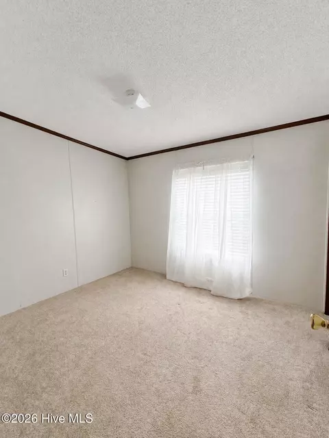 2202 Hollyhock Ln, Deep Run, NC 28525 photo 14
