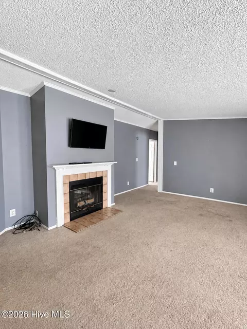 2202 Hollyhock Ln, Deep Run, NC 28525 photo 15