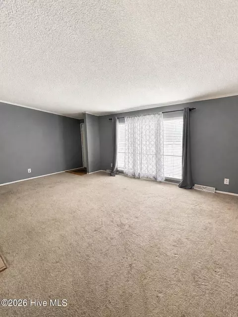2202 Hollyhock Ln, Deep Run, NC 28525 photo 13