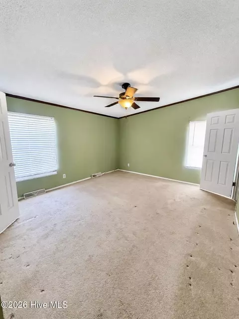 2202 Hollyhock Ln, Deep Run, NC 28525 photo 8