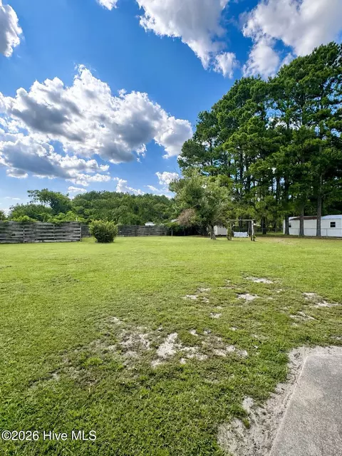 2202 Hollyhock Ln, Deep Run, NC 28525 photo 5