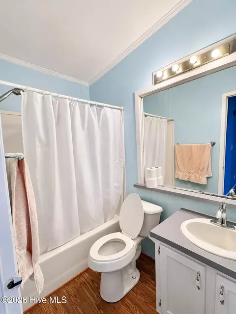 2202 Hollyhock Ln, Deep Run, NC 28525 photo 12