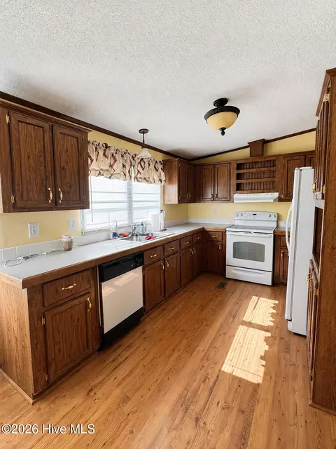 2202 Hollyhock Ln, Deep Run, NC 28525 photo 18