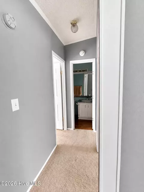 2202 Hollyhock Ln, Deep Run, NC 28525 photo 17