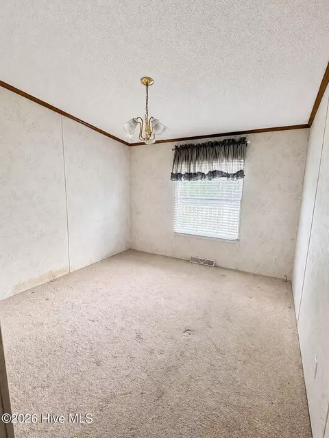 2202 Hollyhock Ln, Deep Run, NC 28525 photo 19