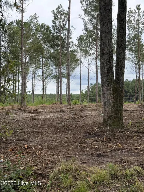 tbd Lot 4 Elmore, Laurinburg, NC 28352