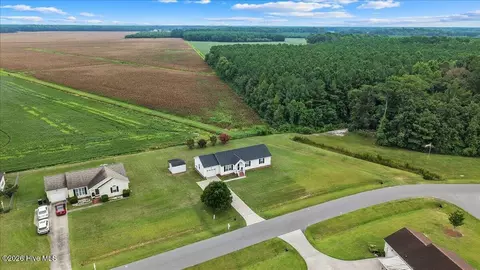 View/Area - 993 Aspen Ridge Ct, Deep Run, NC 28525 photo 8 of 9