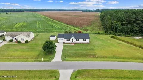 View/Area - 993 Aspen Ridge Ct, Deep Run, NC 28525 photo 2 of 9