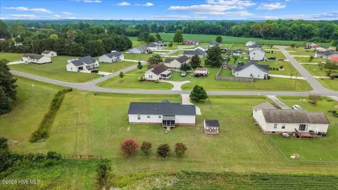 View/Area - 993 Aspen Ridge Ct, Deep Run, NC 28525 photo 7 of 9