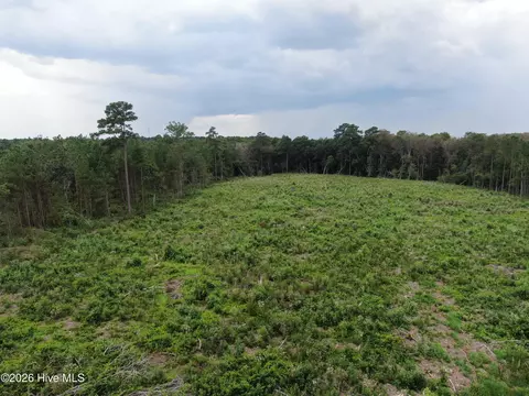 tbd Johns Mill Rd, Maxton, NC 28364 photo 20