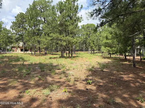 21 Strathaven Dr, Pinehurst, NC 28374 photo 2