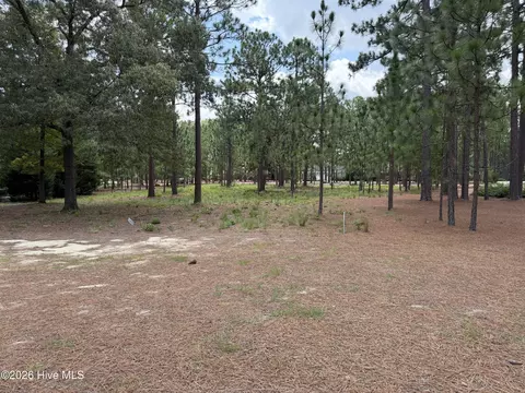 21 Strathaven Dr, Pinehurst, NC 28374 photo 8