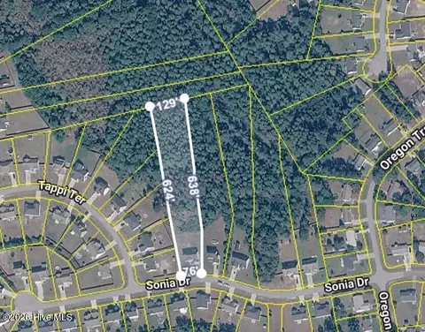 View/Area - 110 Sonia Dr, Hubert, NC 28539 photo 1 of 1