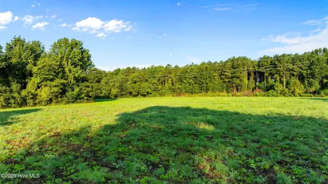 2 Old Smith Chapel Rd, Mount Olive, NC 28365 photo 7