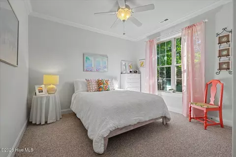 Bedroom - 669 Jenoa Loop, Castle Hayne, NC 28429 photo 5 of 6