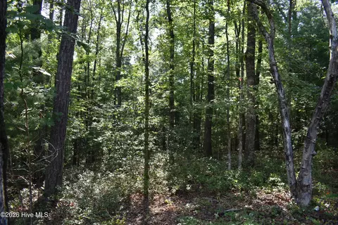 lot31 Ranger Rd, Murphy, NC 28906 photo 5