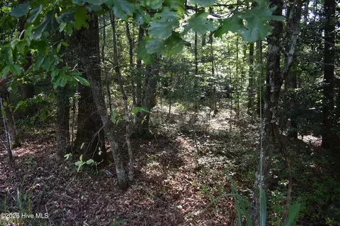 lot31 Ranger Rd, Murphy, NC 28906 photo 11
