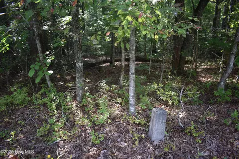 lot31 Ranger Rd, Murphy, NC 28906 photo 8