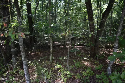 lot31 Ranger Rd, Murphy, NC 28906 photo 10