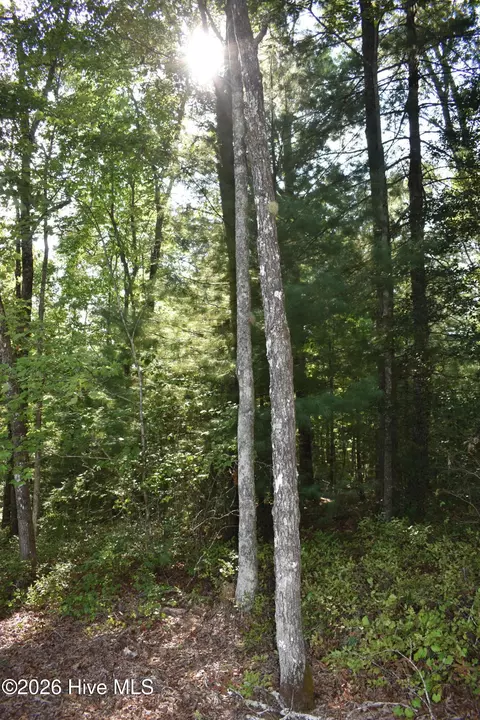lot31 Ranger Rd, Murphy, NC 28906 photo 6