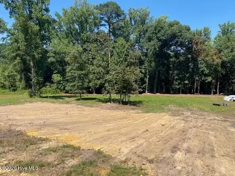 Other - 5256 Roseheath Ct, Bailey, NC 27807 photo 3 of 7