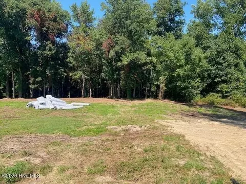 Other - 5230 Roseheath Ct, Bailey, NC 27807 photo 3 of 6