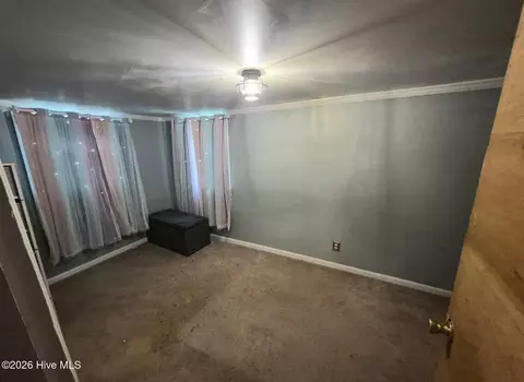 Other - 3795 Rouse Loop Rd, La Grange, NC 28551 photo 7 of 10