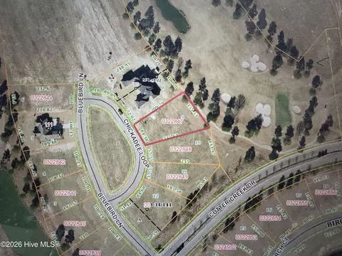 9 Chickadee Loop, Snow Hill, NC 28580 photo 20