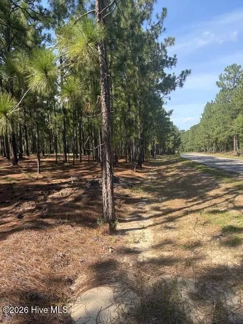tbd Carthage Rd, West End, NC 27376